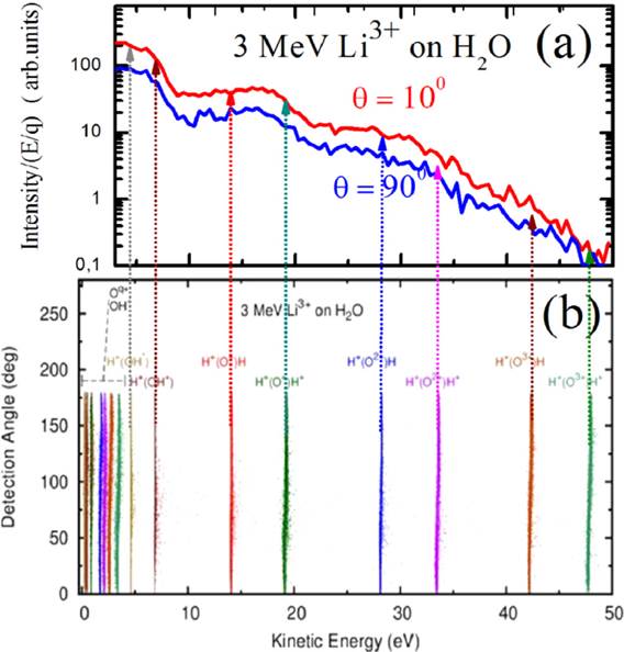 Water Fragmentation Induced by Ion Impact: example of measured energy spectra of fragments and dissociation channels from theory