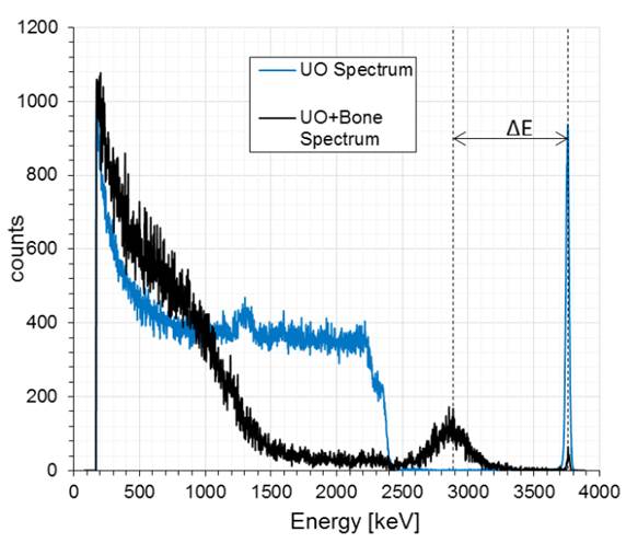 Example of the measurement of the stopping power of α particles in compact bone for research in BNCT (Boron Neutron Capture Therapy)